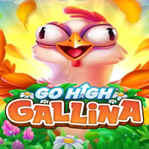 Exploring the Exciting World of GoHighGallina